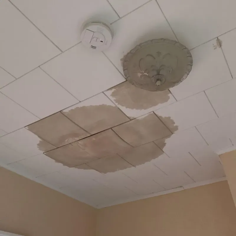 Ceiling Water Damage Repair in Westport, IN