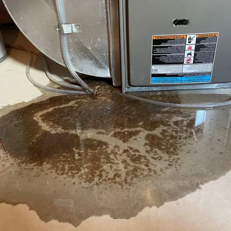 Pipe Burst and Leak Restoration in Westport, IN