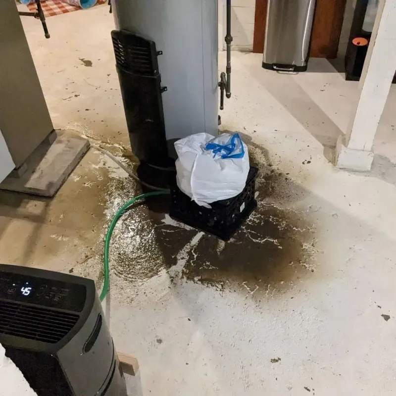 Sewage Backup Cleanup Service in Westport, IN